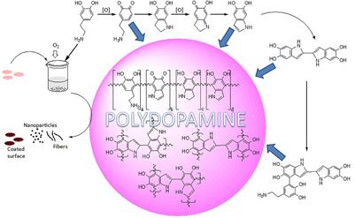 Recent Advances in a Polydopamine-Mediated Antimicrobial Adhesion System